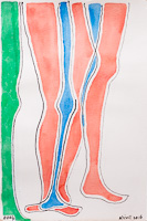 Body Parts. Click image for details. 